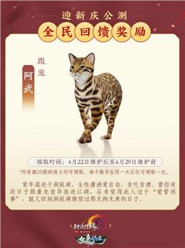霸主天龙八部私服